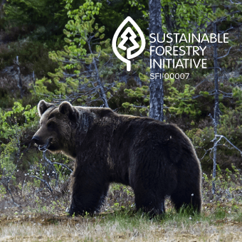A brown bear in nature with the Sustainable Forestry Initiative logo.