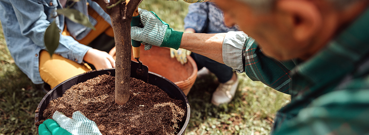 Water bottle - every purchase plants a tree - Arbor Day Foundation