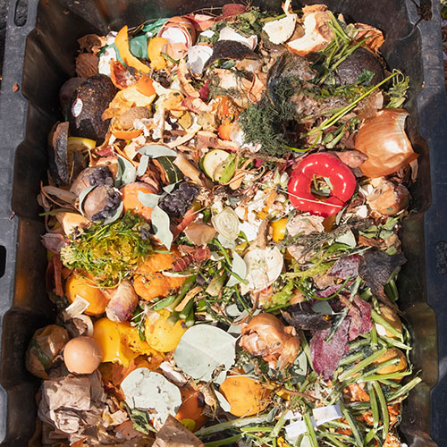 Restaurant food waste in a bin.