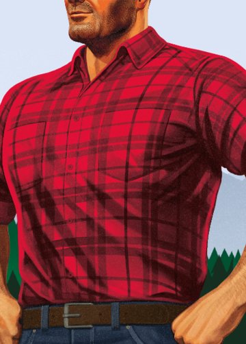 The Brawny man standing in front of a mountain.