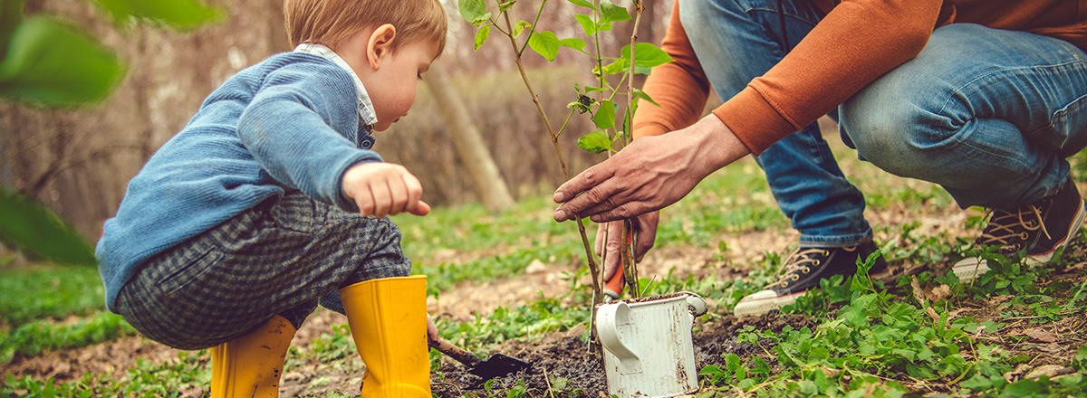 Water bottle - every purchase plants a tree - Arbor Day Foundation