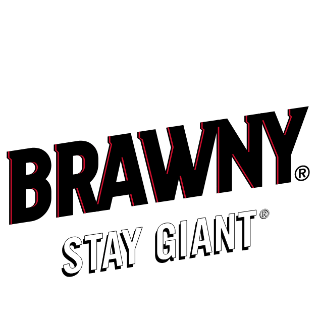 brawny paper towel logo